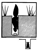 Иллюстрация к книге — Школа выживания. Как избежать голодной смерти [_246.jpg]