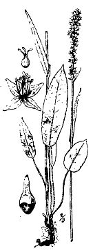 Иллюстрация к книге — Школа выживания. Как избежать голодной смерти [_25.jpg]