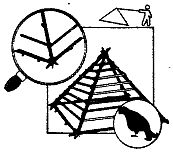 Иллюстрация к книге — Школа выживания. Как избежать голодной смерти [_253.jpg]