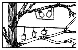 Иллюстрация к книге — Школа выживания. Как избежать голодной смерти [_256.jpg]