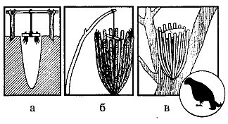 Иллюстрация к книге — Школа выживания. Как избежать голодной смерти [_257.jpg]