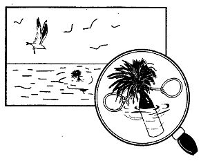 Иллюстрация к книге — Школа выживания. Как избежать голодной смерти [_259.jpg]