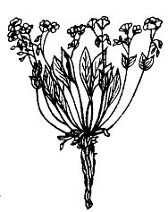 Иллюстрация к книге — Школа выживания. Как избежать голодной смерти [_27.jpg]