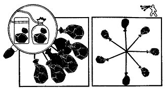 Иллюстрация к книге — Школа выживания. Как избежать голодной смерти [_270.jpg]