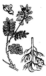 Иллюстрация к книге — Школа выживания. Как избежать голодной смерти [_28.jpg]