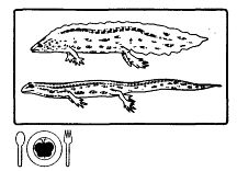Иллюстрация к книге — Школа выживания. Как избежать голодной смерти [_296.jpg]