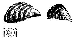 Иллюстрация к книге — Школа выживания. Как избежать голодной смерти [_300.jpg]