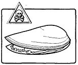 Иллюстрация к книге — Школа выживания. Как избежать голодной смерти [_306.jpg]