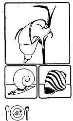 Иллюстрация к книге — Школа выживания. Как избежать голодной смерти [_307.jpg]