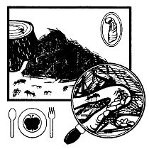 Иллюстрация к книге — Школа выживания. Как избежать голодной смерти [_314.jpg]