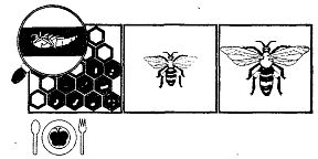 Иллюстрация к книге — Школа выживания. Как избежать голодной смерти [_317.jpg]