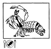 Иллюстрация к книге — Школа выживания. Как избежать голодной смерти [_324.jpg]