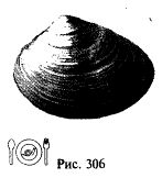 Иллюстрация к книге — Школа выживания. Как избежать голодной смерти [_331.jpg]