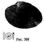 Иллюстрация к книге — Школа выживания. Как избежать голодной смерти [_333.jpg]