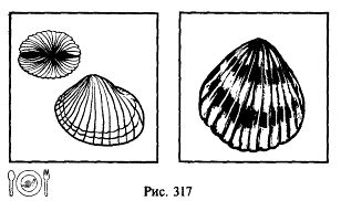 Иллюстрация к книге — Школа выживания. Как избежать голодной смерти [_342.jpg]