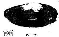Иллюстрация к книге — Школа выживания. Как избежать голодной смерти [_348.jpg]
