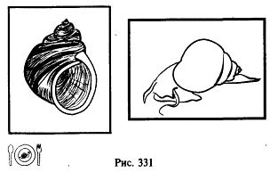 Иллюстрация к книге — Школа выживания. Как избежать голодной смерти [_356.jpg]