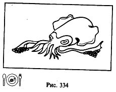 Иллюстрация к книге — Школа выживания. Как избежать голодной смерти [_359.jpg]
