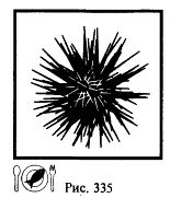 Иллюстрация к книге — Школа выживания. Как избежать голодной смерти [_360.jpg]