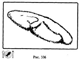 Иллюстрация к книге — Школа выживания. Как избежать голодной смерти [_361.jpg]