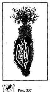 Иллюстрация к книге — Школа выживания. Как избежать голодной смерти [_362.jpg]