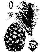 Иллюстрация к книге — Школа выживания. Как избежать голодной смерти [_41.jpg]