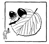 Иллюстрация к книге — Школа выживания. Как избежать голодной смерти [_42.jpg]