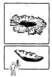 Иллюстрация к книге — Школа выживания. Как избежать голодной смерти [_51.jpg]