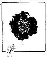 Иллюстрация к книге — Школа выживания. Как избежать голодной смерти [_53.jpg]