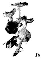 Иллюстрация к книге — Школа выживания. Как избежать голодной смерти [_63.jpg]