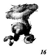 Иллюстрация к книге — Школа выживания. Как избежать голодной смерти [_69.jpg]