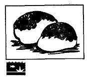 Иллюстрация к книге — Школа выживания. Как избежать голодной смерти [_77.jpg]