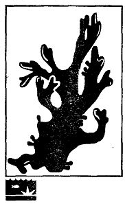 Иллюстрация к книге — Школа выживания. Как избежать голодной смерти [_80.jpg]