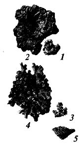 Иллюстрация к книге — Школа выживания. Как избежать голодной смерти [_84.jpg]