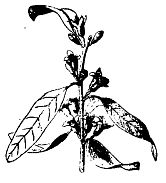 Иллюстрация к книге — Школа выживания. Как избежать голодной смерти [_85.jpg]