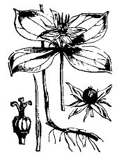 Иллюстрация к книге — Школа выживания. Как избежать голодной смерти [_93.jpg]