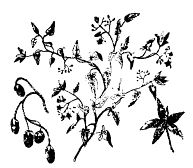 Иллюстрация к книге — Школа выживания. Как избежать голодной смерти [_98.jpg]