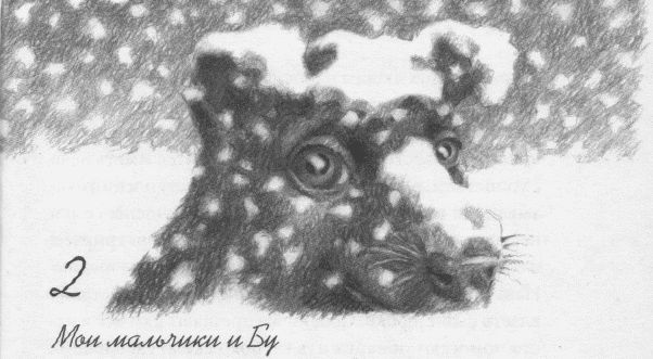 Иллюстрация к книге — Пес по имени Бу [i_004.jpg]