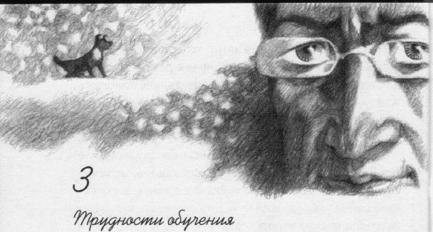 Иллюстрация к книге — Пес по имени Бу [i_005.jpg]