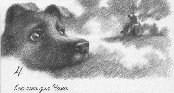 Иллюстрация к книге — Пес по имени Бу [i_006.jpg]