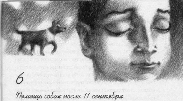 Иллюстрация к книге — Пес по имени Бу [i_008.jpg]