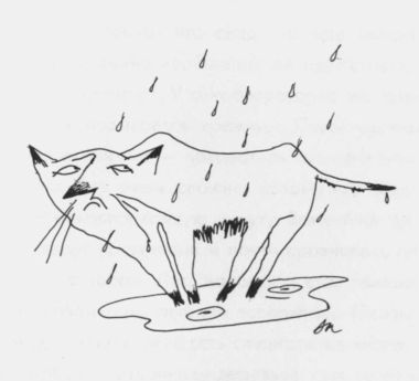 Иллюстрация к книге — Живые истории [i_038.jpg]