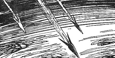 Иллюстрация к книге — Магелланово Облако [_25.png]