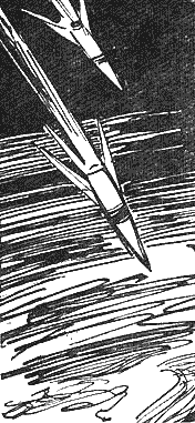 Иллюстрация к книге — Магелланово Облако [_26.png]