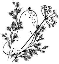 Иллюстрация к книге — Подземелья Дикого леса [i_014.png]