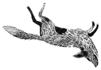 Иллюстрация к книге — Подземелья Дикого леса [i_045.png]