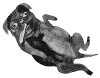 Иллюстрация к книге — Подземелья Дикого леса [i_048.png]