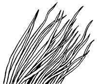 Иллюстрация к книге — Подземелья Дикого леса [i_077.png]