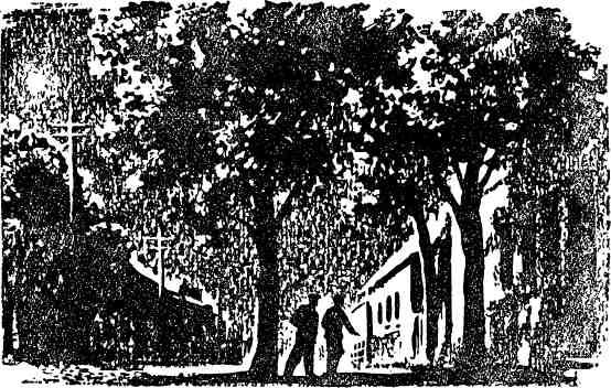 Иллюстрация к книге — Тайные тропы [img_4.jpg]