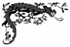 Иллюстрация к книге — Шпион из Калькутты. Амалия и Белое видение [i_002.png]